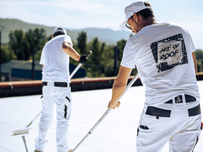 About Leaking Skylight Repair Pros Spring Creek, NV